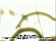 OUTPUT_000149.jpg